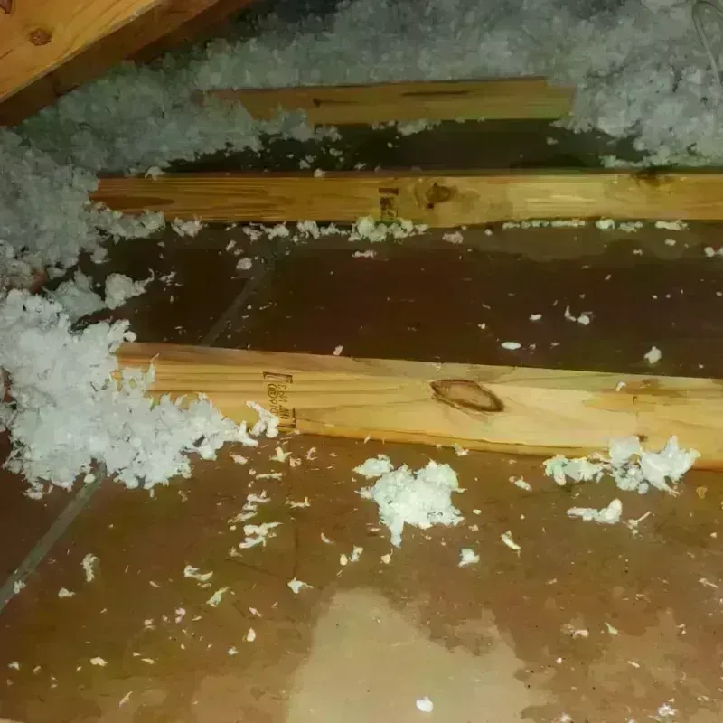 Attic Water Damage in Huntington County, IN